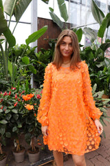 Liberte Lamilla - Kjole - HUSET Men & Women