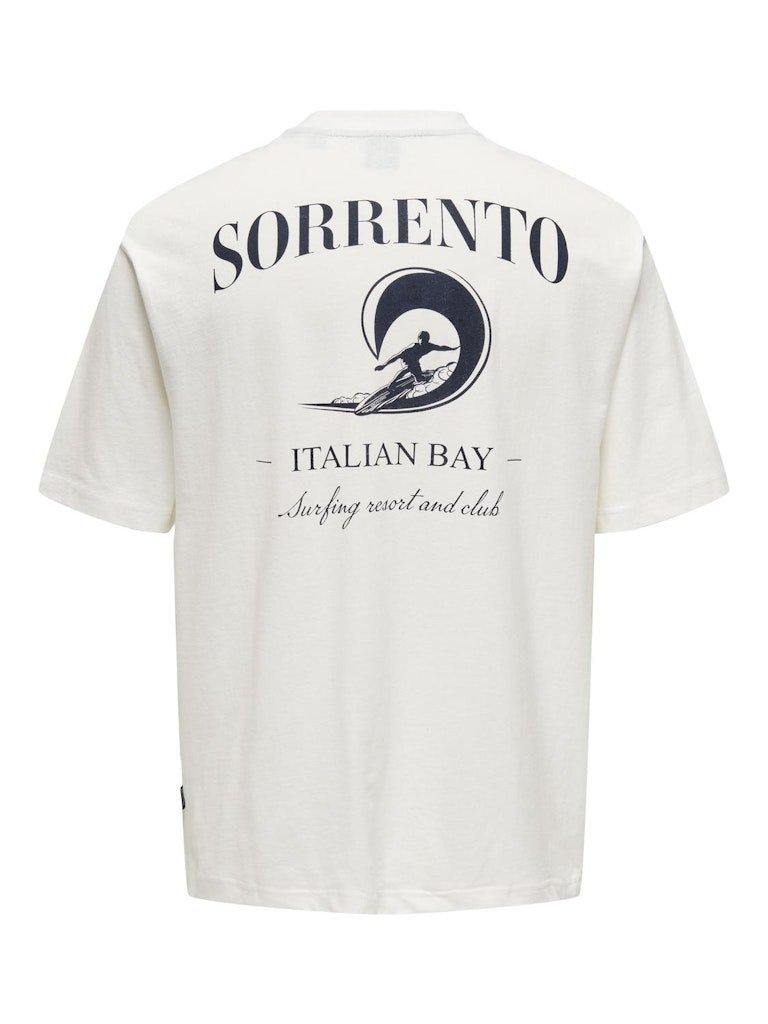 Only & Sons Milo - Coast t-shirt - HUSET Men & Women